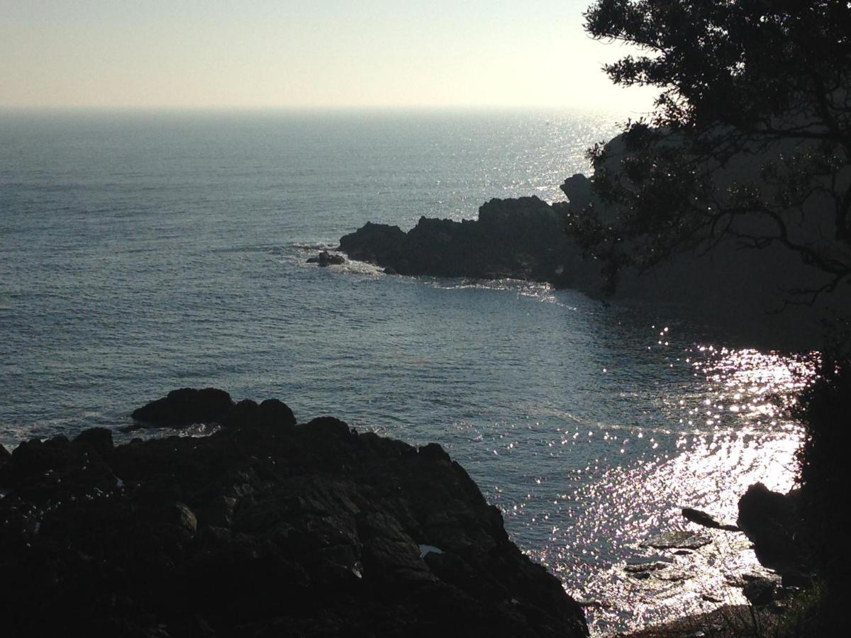 Bay View, Millendreth Looe Cornwall Exterior foto